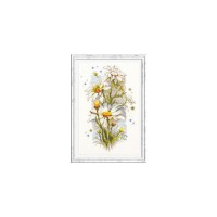 Goedkoop borduurpakket met telpatroon - Margrieten