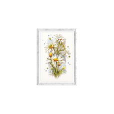Goedkoop borduurpakket met telpatroon - Margrieten