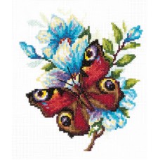 Peacock Butterfly