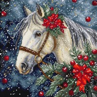 Borduurpakket met telpatroon - Winters paard
