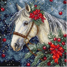 Borduurpakket met telpatroon - Winters paard