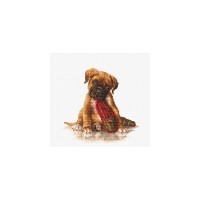 VOORDELIG: Borduurpakket Boxer - Incl. garen en  telpatroon