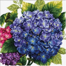 Hortensia - Voorbedrukt borduurpakket 