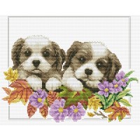 2 Puppies - Voorbedrukt borduurpakket - OP BESTELLING