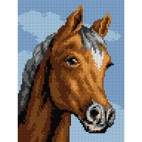 EENVOUDIG: Voorbedrukt borduurpakket - Paard 