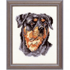 Voordelig borduurpakket - Rottweiler