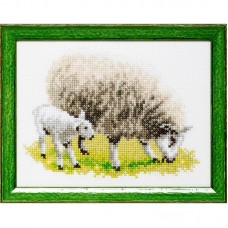 Voordelig borduurpakket - Schapen