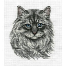Borduurpakket Main Coon - Compleet pakket met telpatroon