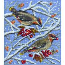 Borduurpakket Winter birds