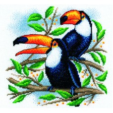 AFGEPRIJSD: Borduurpakket Toucan 