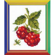 Goedkoop borduurpakket met telpatroon - Bessen OP=OP