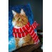 Borduurpakket Kussenpakket - Voorbedrukt pakket Kat met sjaal
